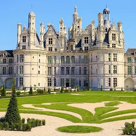 Git'Albert A 10 Minute Du Chateau Royale De Chambord Mont-pres-Chambord Bagian luar foto